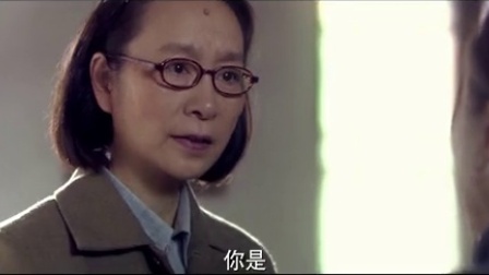 大地情深 27集