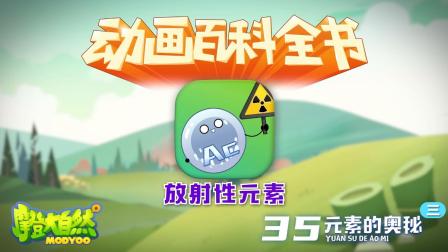 大自然里面的小百科 11集