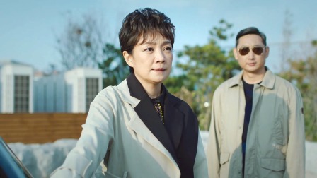 巡回检察组 DVD版 16集