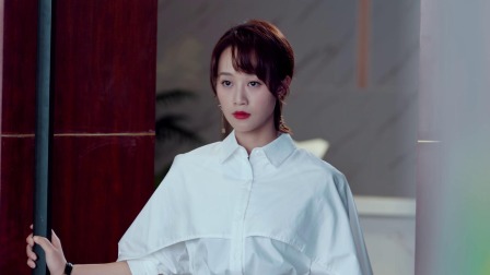 流光之下 33集