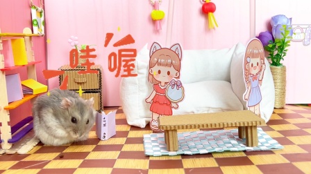 仓鼠益智闯关 11集