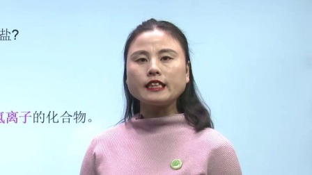 初中化学 九年级下册化学初三人教版2021 24集