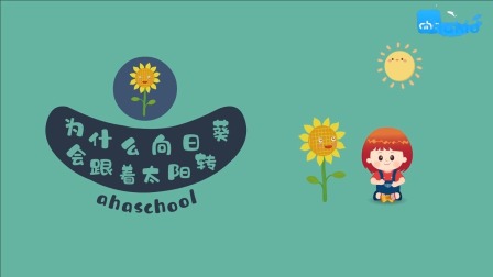 麦奇的为什么 百科动物篇 24集