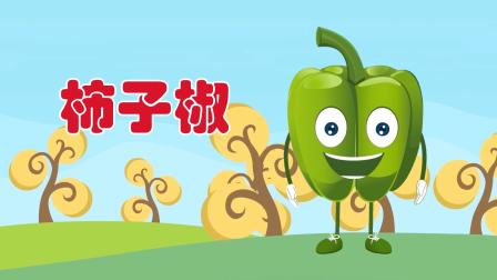 阿布小课堂 我爱蔬菜 14集