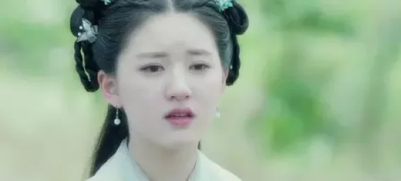 天雷一部之春花秋月 40集