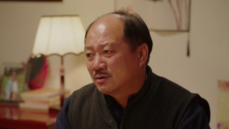 乡村爱情14 33集