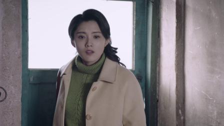 远方的山楂树 36集