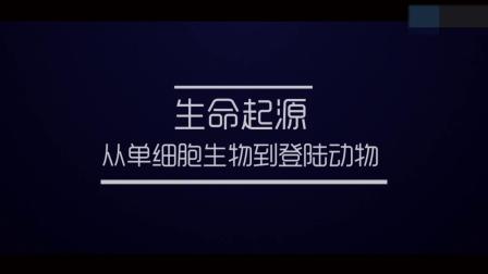 少年的第一堂自然课 2集