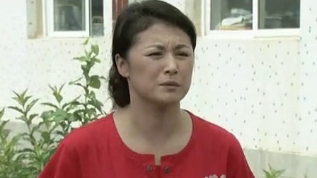 乡村爱情4 9集