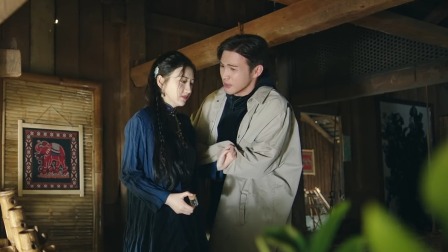 司藤 11集