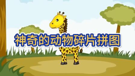 动物启蒙大闯关 7集