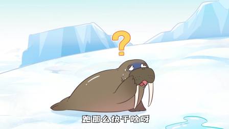 我是不白吃日常篇 第10季 76集