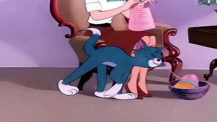 猫和老鼠笨笨猫和机灵鼠 3集