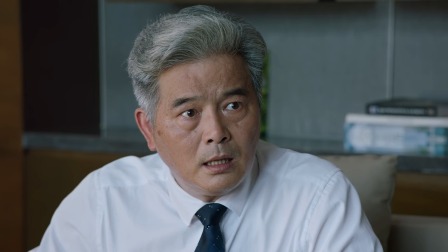 湾区儿女 29集