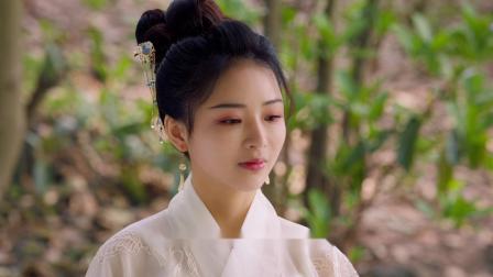 落难王妃2 9集