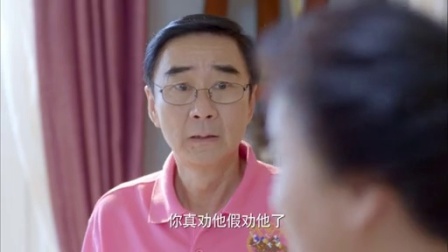 我为儿孙当北漂 14集