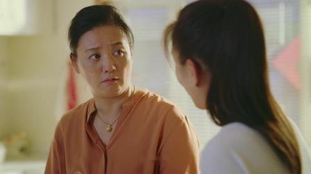 枫叶红了 26集
