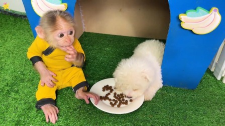 聪明小猴子布布 102集