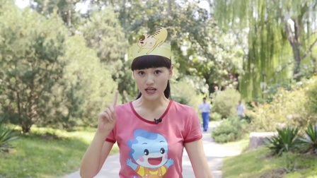 艺术启蒙 17集