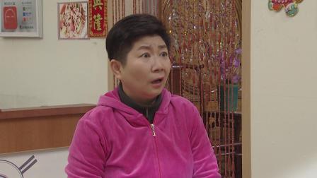 外来媳妇本地郎18 9集