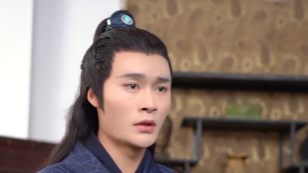 美人醉 20集