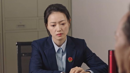 司法所里的故事 24集