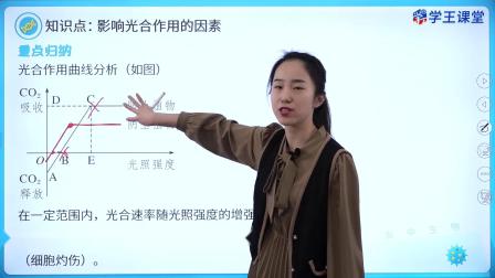 学王课堂 人教版高中生物学必修1（分子与细胞） 23集