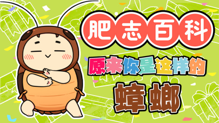 肥志百科 第13季 2集