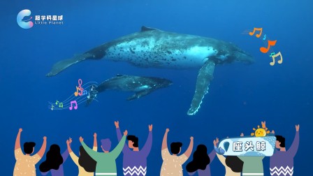 米拉和星仔：海洋探险小队 6集