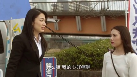 捷德奥特曼 中文版 4集