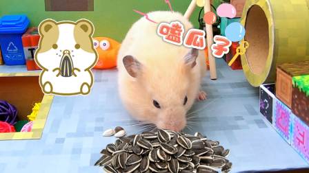 我的仓鼠世界闯关冒险 3集