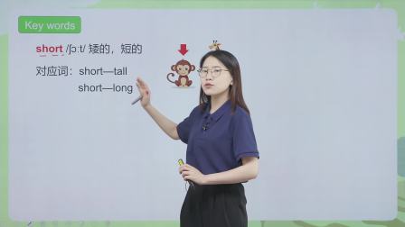 同步基础班-英语三年级下册（科普版） 3集