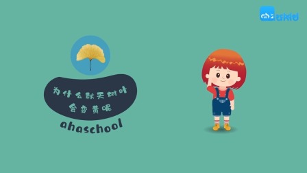 麦奇的为什么 百科动物篇 23集