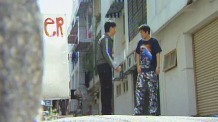 再生花 4集
