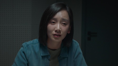 执念如影 9集