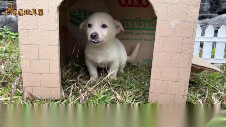 小猴子可可 12集
