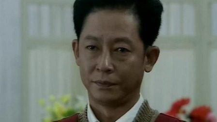 龙虎人生 14集