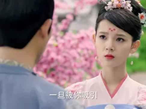 柜中美人 25集