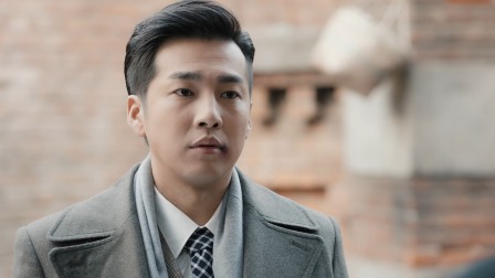 情深缘起 46集