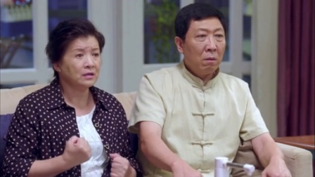 我为儿孙当北漂 33集