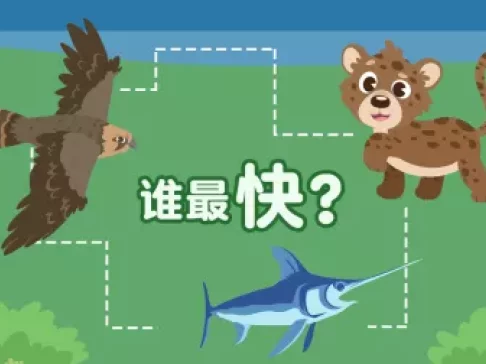 超萌动物园 新奇动物大派对 10集