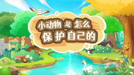 超级镜头：可爱的小动物 5集