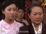 真情错爱 9集