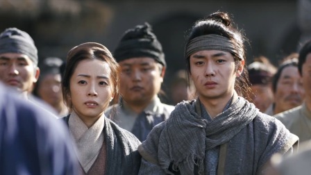 锦囊妙录 14集