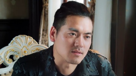 少帅休想逃 30集