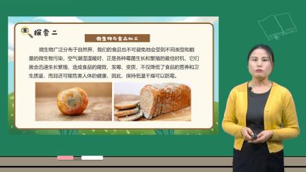小学科学 教科版六年级上册全册视频课程 9集