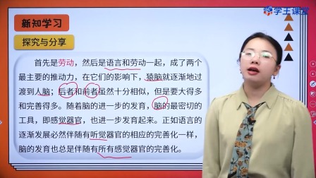 学王课堂 人教版高中政治必修4（哲学与文化）（部编版） 12集
