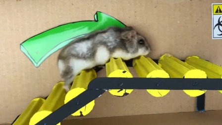 仓鼠秘密任务行 4集