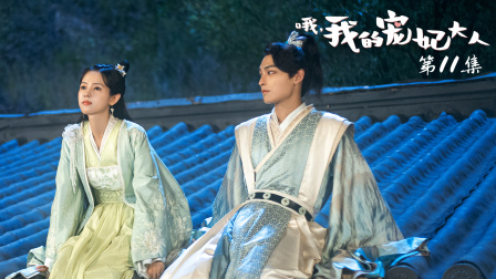 哦，我的宠妃大人 11集