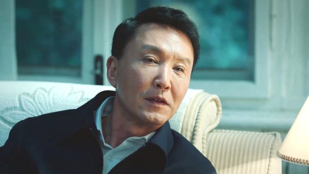 巡回检察组 DVD版 40集